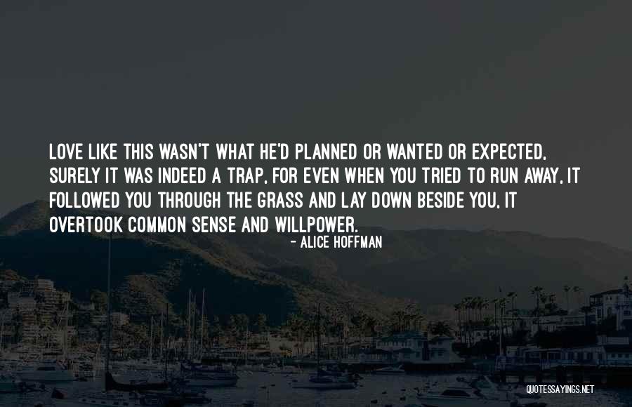 Alice Hoffman Quotes 1751356