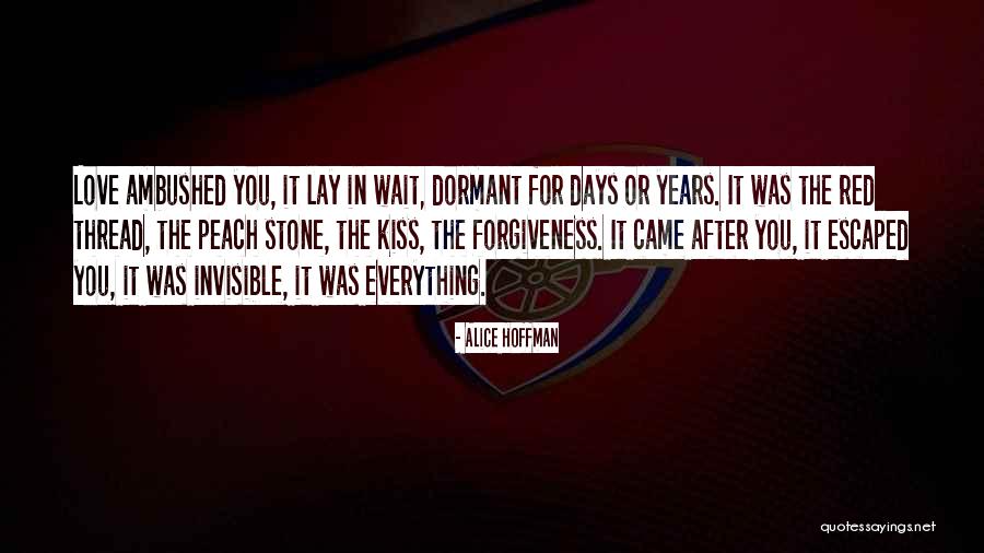 Alice Hoffman Quotes 1807280 Alice Hoffman Quotes 1807280