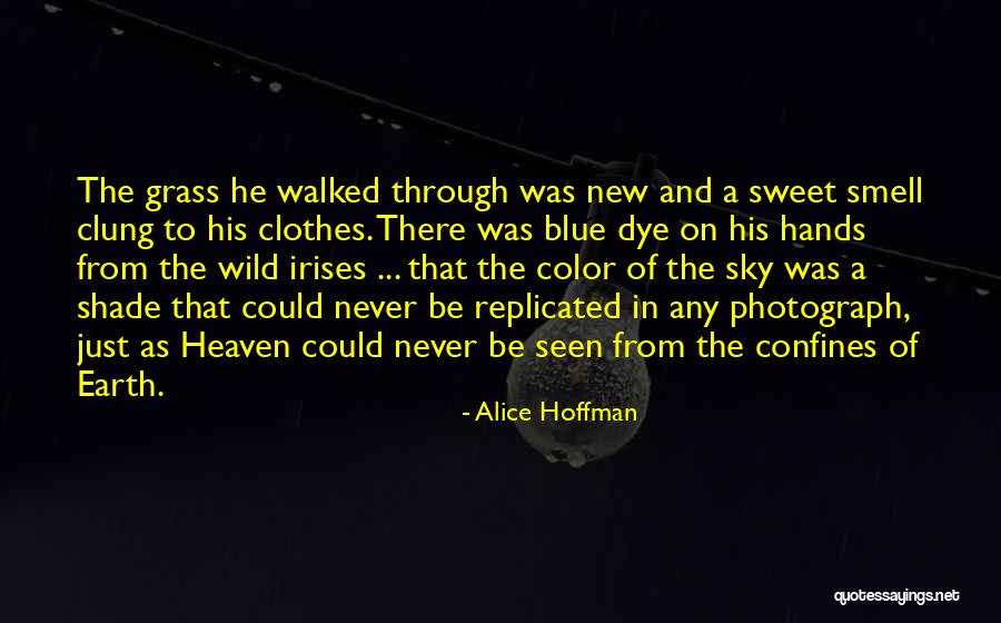 Alice Hoffman Quotes 1994673