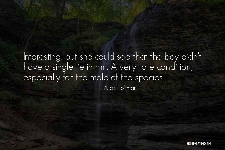 Alice Hoffman Quotes 546144