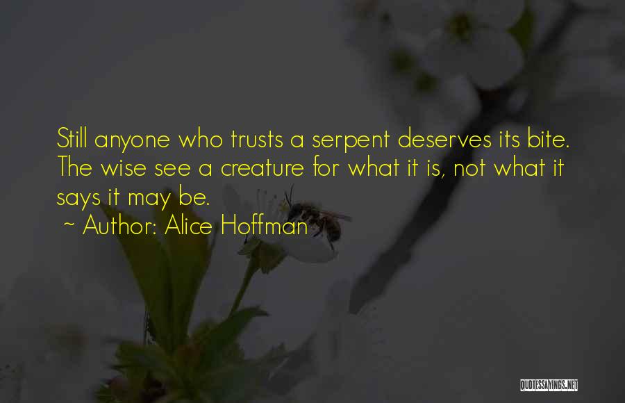 Alice Hoffman Quotes 914169