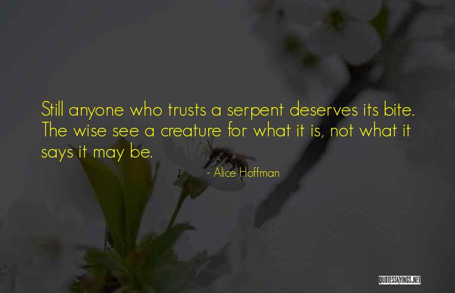 Alice Hoffman Quotes 914169 Alice Hoffman Quotes 914169