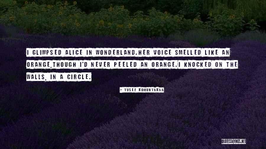 Alice In Alice In Wonderland Quotes By Yusef Komunyakaa Alice In Alice In Wonderland Quotes By Yusef Komunyakaa