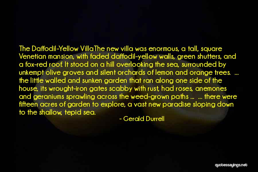 Alice In Wonderland Walrus Quotes By Gerald Durrell Alice In Wonderland Walrus Quotes By Gerald Durrell