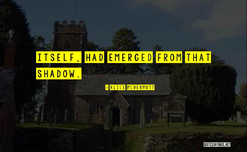 Alice McDermott Quotes 1115587 Alice McDermott Quotes 1115587