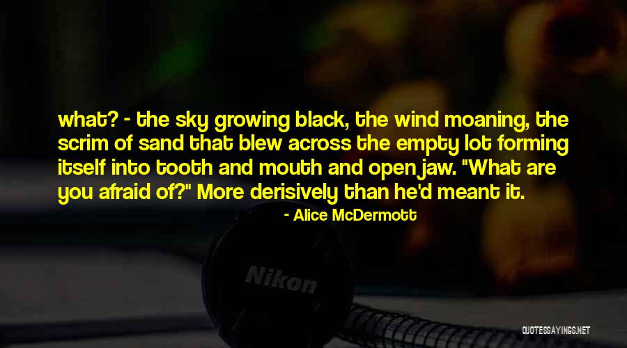 Alice McDermott Quotes 1151701 Alice McDermott Quotes 1151701