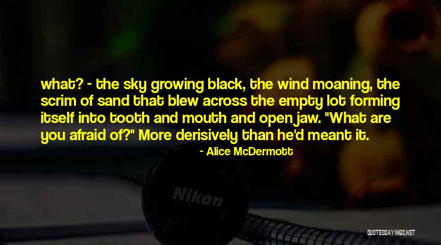 Alice McDermott Quotes 1151701