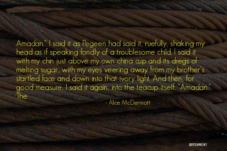 Alice McDermott Quotes 128235 Alice McDermott Quotes 128235
