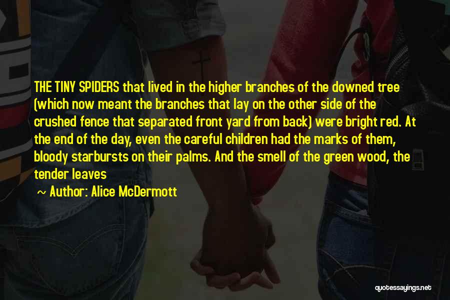 Alice McDermott Quotes 1458955
