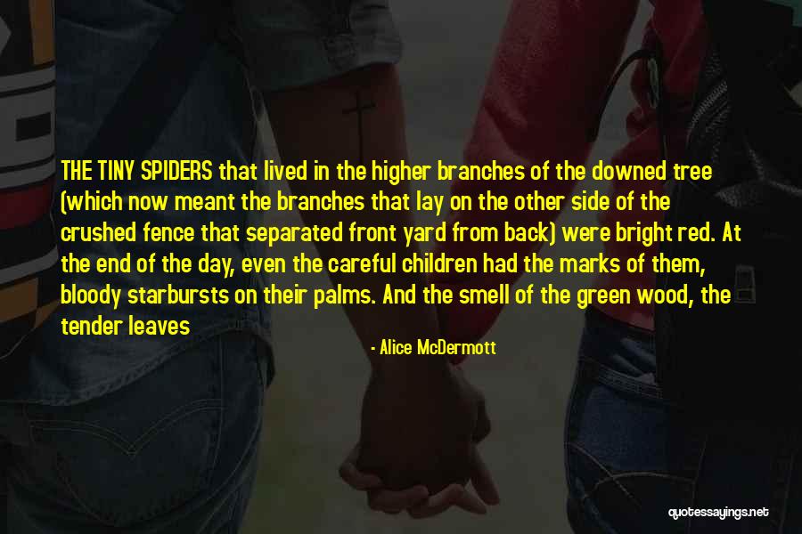 Alice McDermott Quotes 1458955