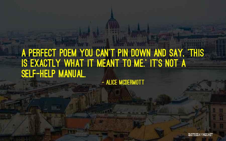 Alice McDermott Quotes 1730061 Alice McDermott Quotes 1730061
