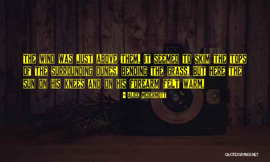 Alice McDermott Quotes 449459 Alice McDermott Quotes 449459