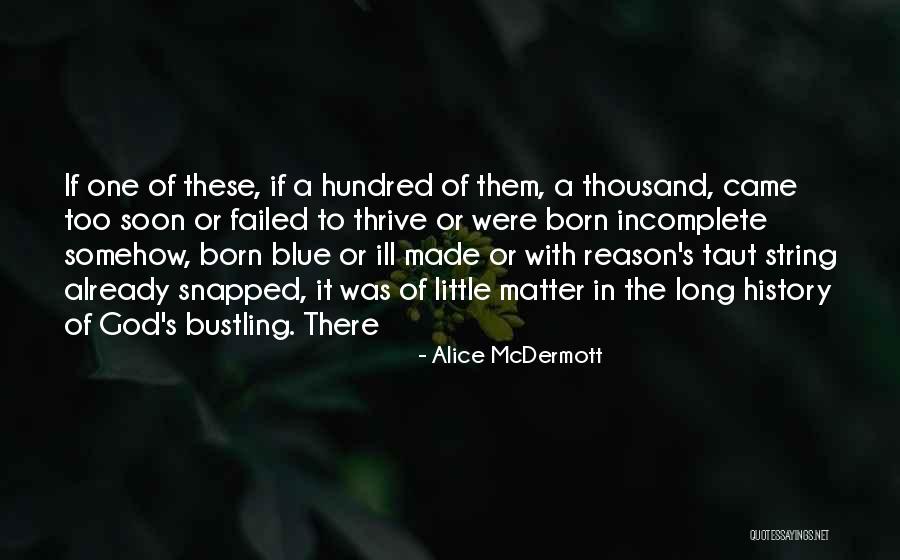 Alice McDermott Quotes 596154