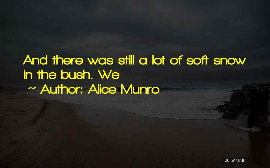 Alice Munro Quotes 536677