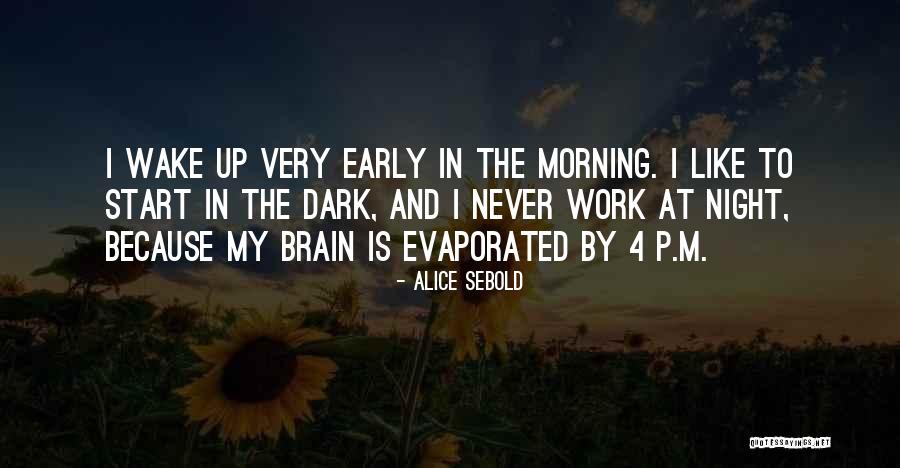 Alice Sebold Quotes 1103569 Alice Sebold Quotes 1103569