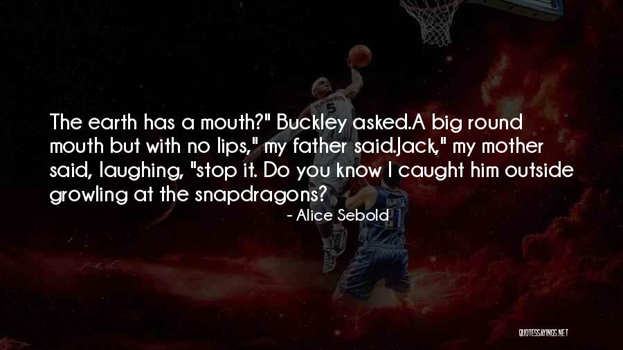 Alice Sebold Quotes 1188521