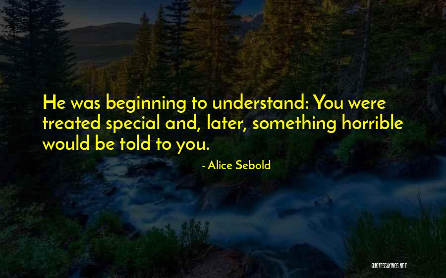 Alice Sebold Quotes 1820282