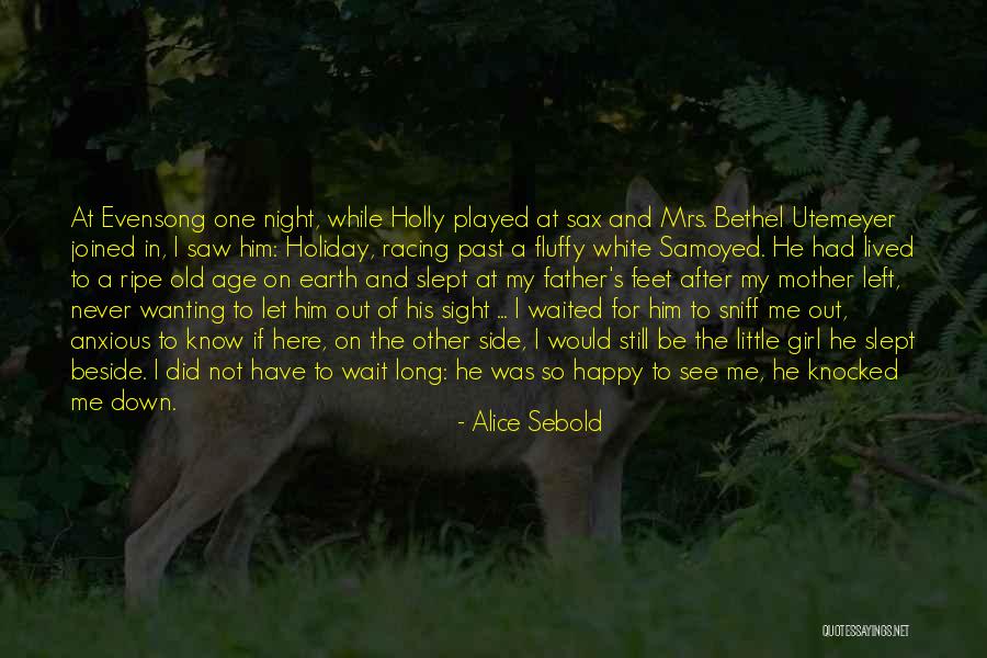 Alice Sebold Quotes 2124616 Alice Sebold Quotes 2124616