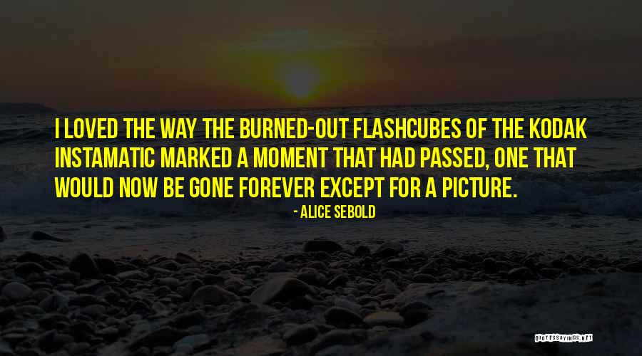 Alice Sebold Quotes 537376 Alice Sebold Quotes 537376