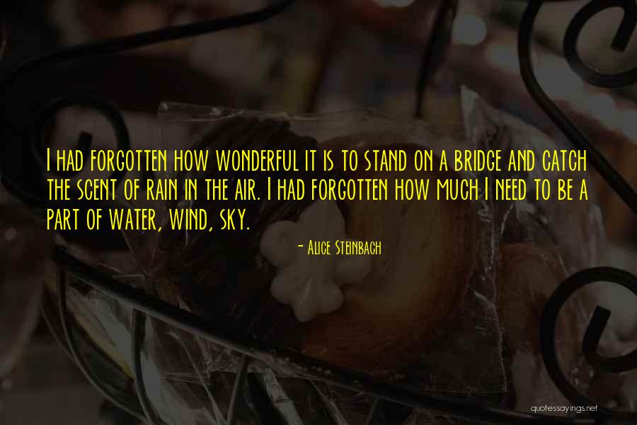 Alice Steinbach Quotes 1700614 Alice Steinbach Quotes 1700614