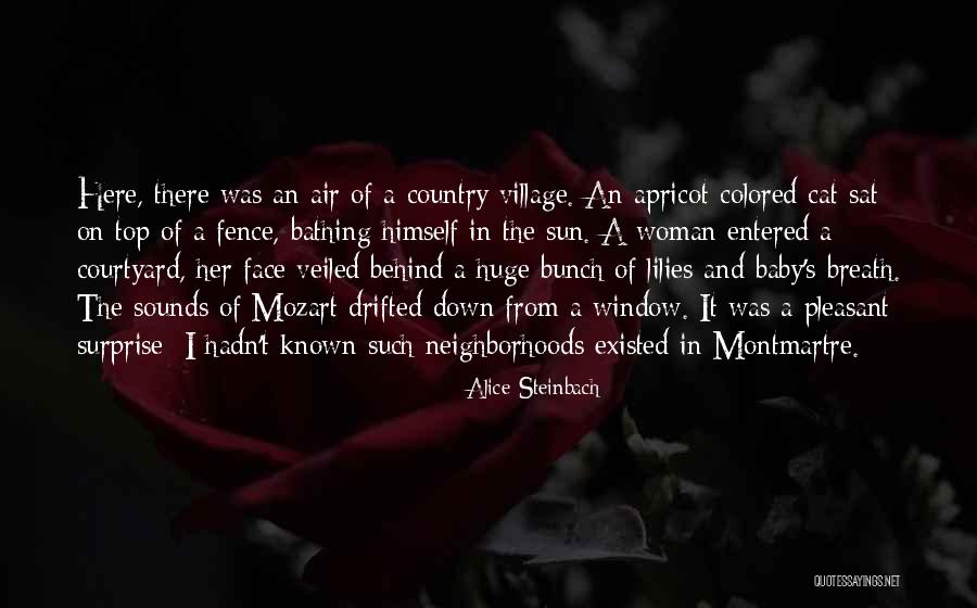 Alice Steinbach Quotes 2019069 Alice Steinbach Quotes 2019069
