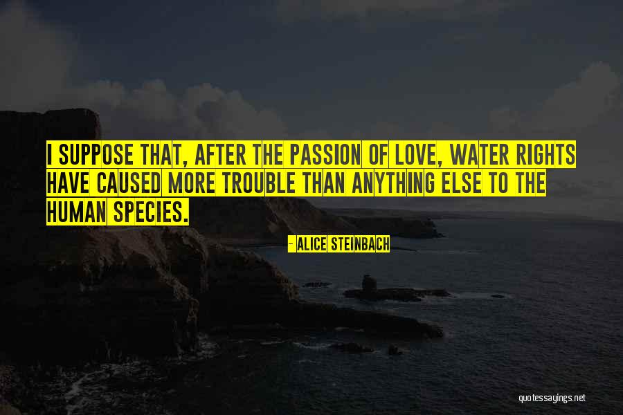 Alice Steinbach Quotes 635234 Alice Steinbach Quotes 635234