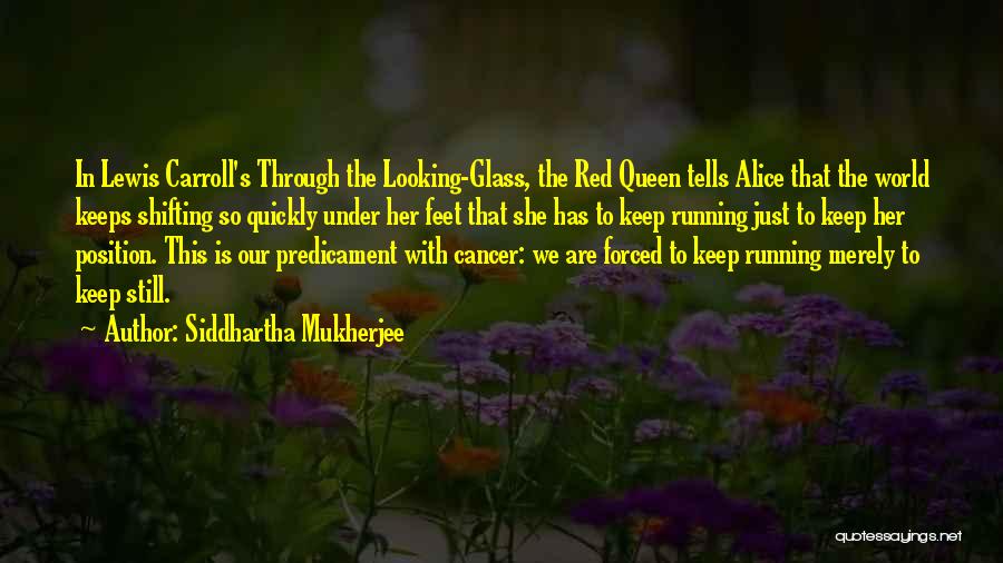 Alice Through The Looking Glass Quotes By Siddhartha Mukherjee