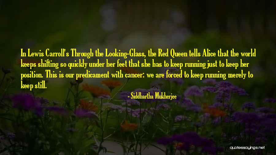 Alice Through The Looking Glass Quotes By Siddhartha Mukherjee