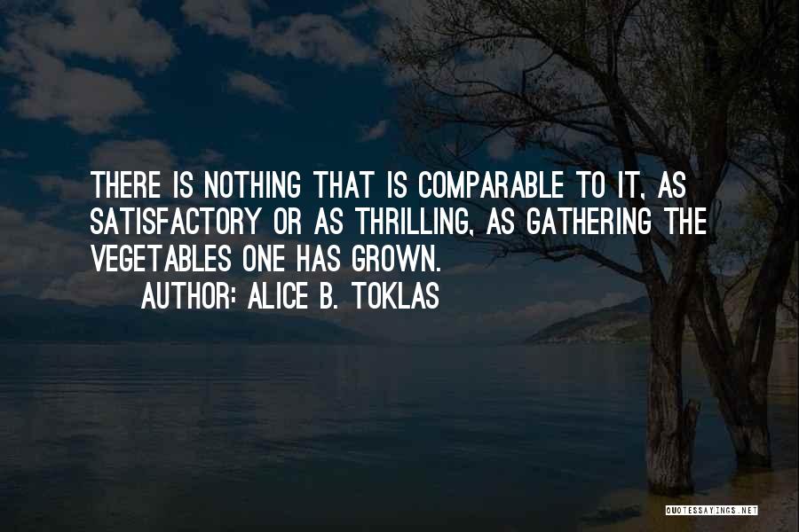 Alice Toklas Quotes By Alice B. Toklas