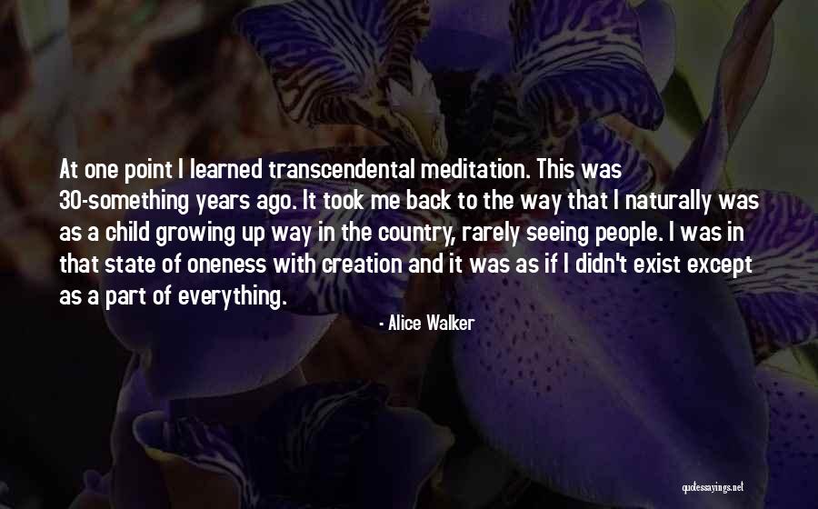 Alice Walker Quotes 1370848