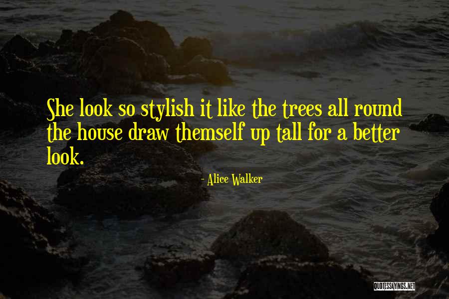 Alice Walker Quotes 145345