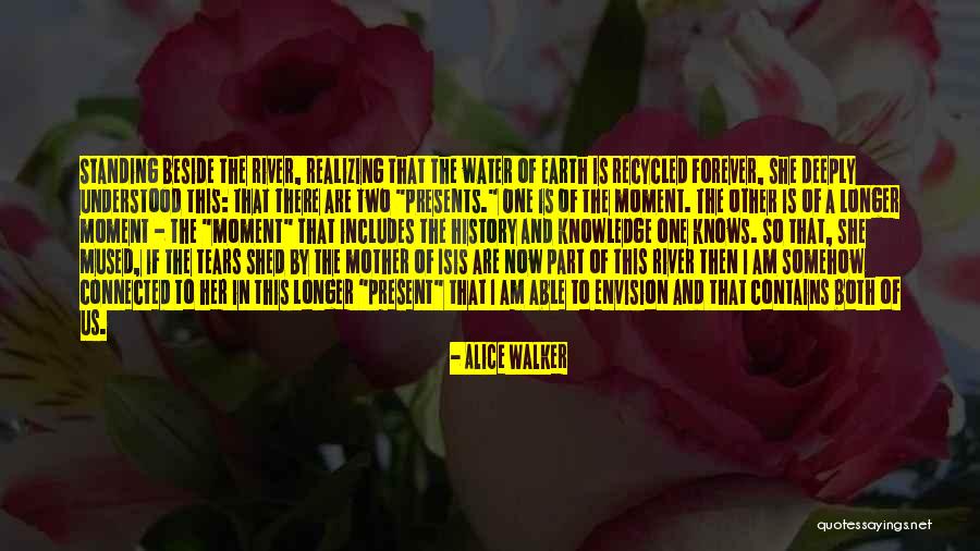 Alice Walker Quotes 1929387