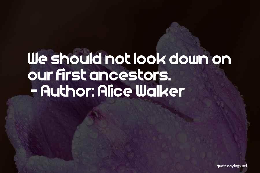 Alice Walker Quotes 892378