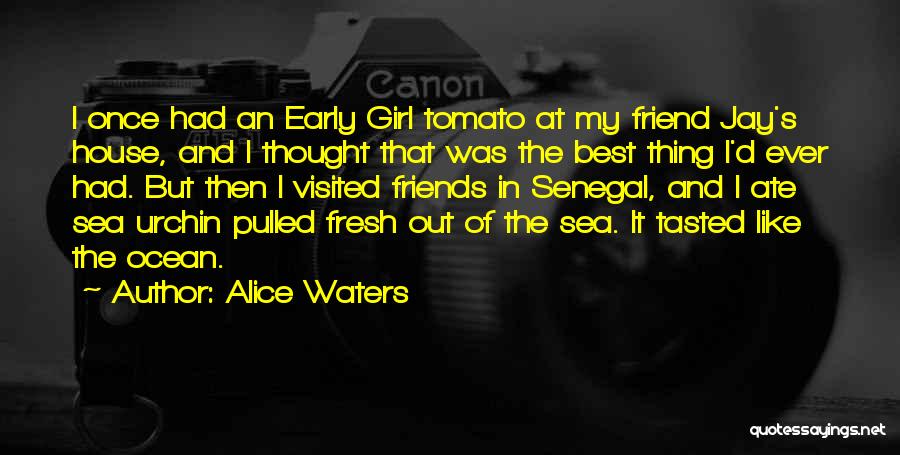 Alice Waters Quotes 967810