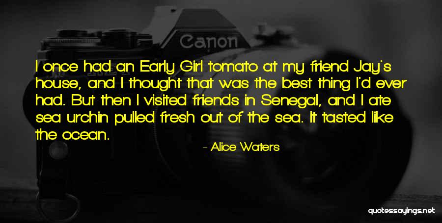 Alice Waters Quotes 967810 Alice Waters Quotes 967810