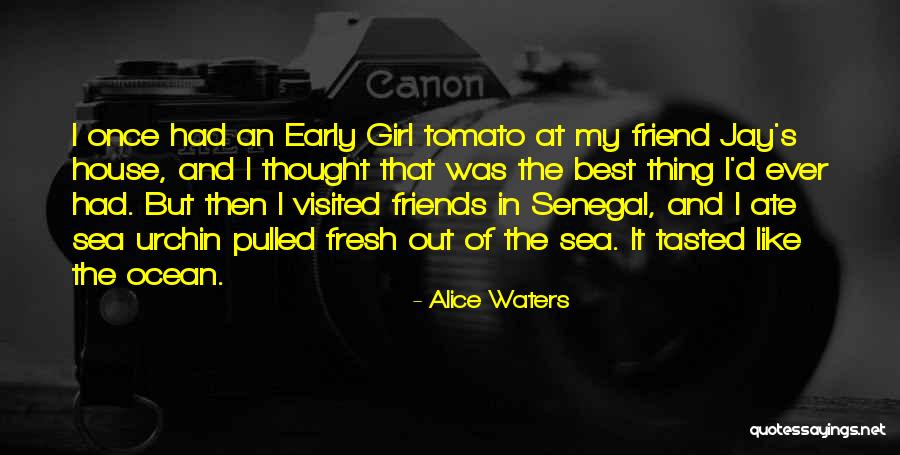 Alice Waters Quotes 967810