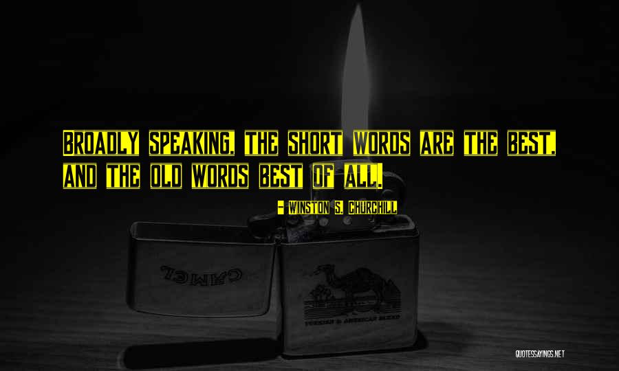 Alicea Castellanos Quotes By Winston S. Churchill Alicea Castellanos Quotes By Winston S. Churchill