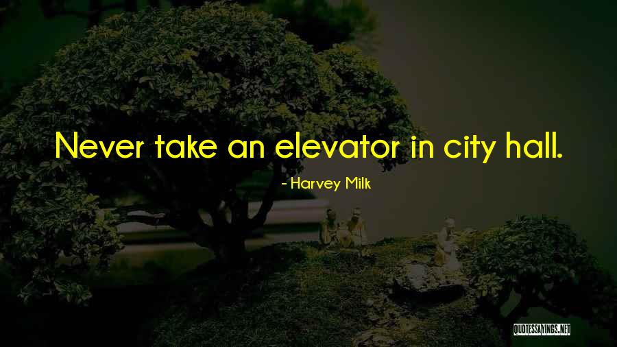 Alicinha Cavalcante Quotes By Harvey Milk Alicinha Cavalcante Quotes By Harvey Milk