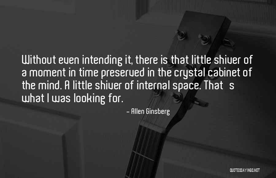 Alienated Mother Quotes By Allen Ginsberg
