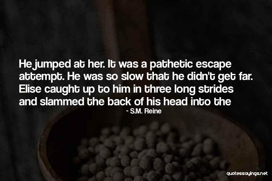 Alienist Caleb Carr Quotes By S.M. Reine Alienist Caleb Carr Quotes By S.M. Reine