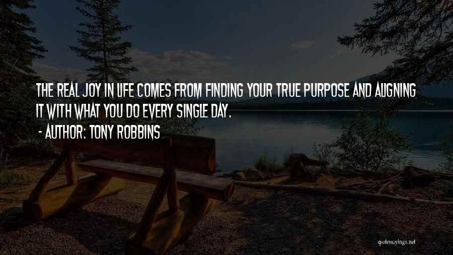 Aligning Life Quotes By Tony Robbins