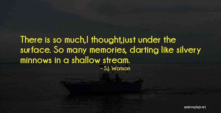 Alikhani Zoubin Quotes By S.J. Watson Alikhani Zoubin Quotes By S.J. Watson