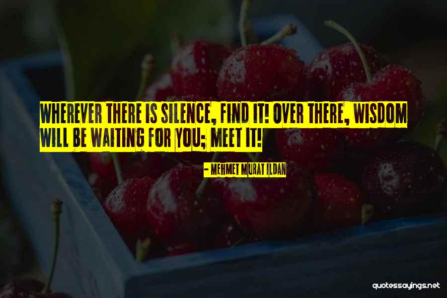 Alim Khandekar Quotes By Mehmet Murat Ildan Alim Khandekar Quotes By Mehmet Murat Ildan
