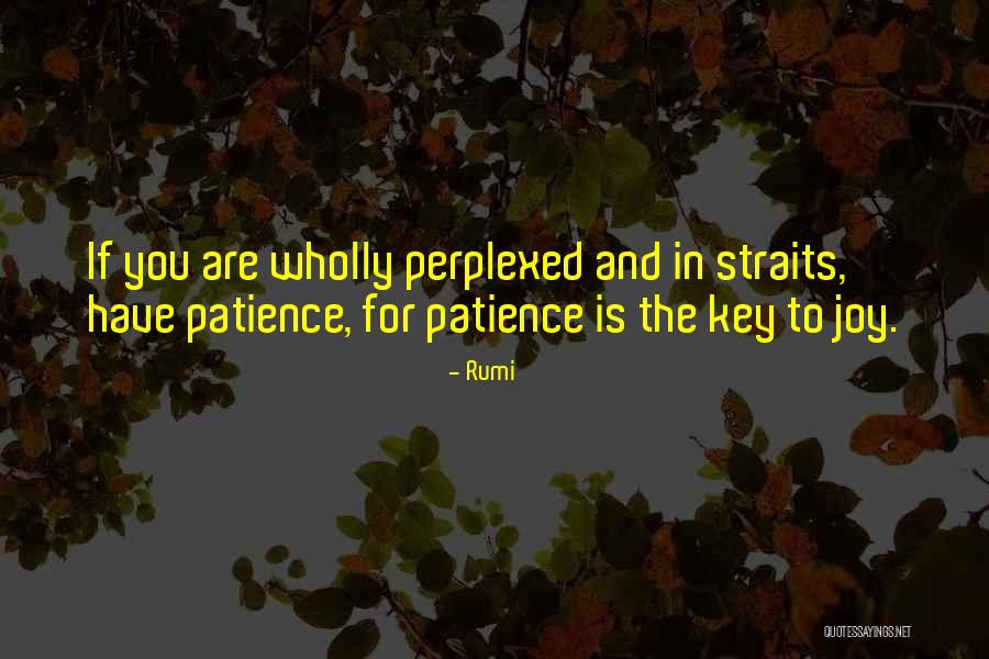 Alineantiqueirafitness Quotes By Rumi Alineantiqueirafitness Quotes By Rumi