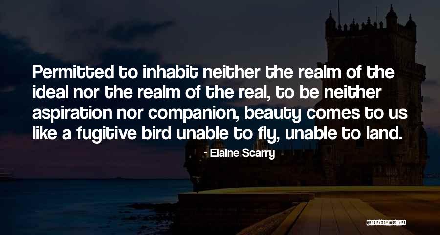 Alismatales Quotes By Elaine Scarry Alismatales Quotes By Elaine Scarry