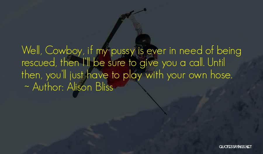 Alison Bliss Quotes 2235179