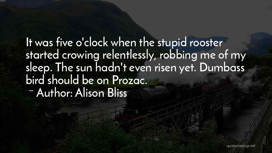 Alison Bliss Quotes 731652