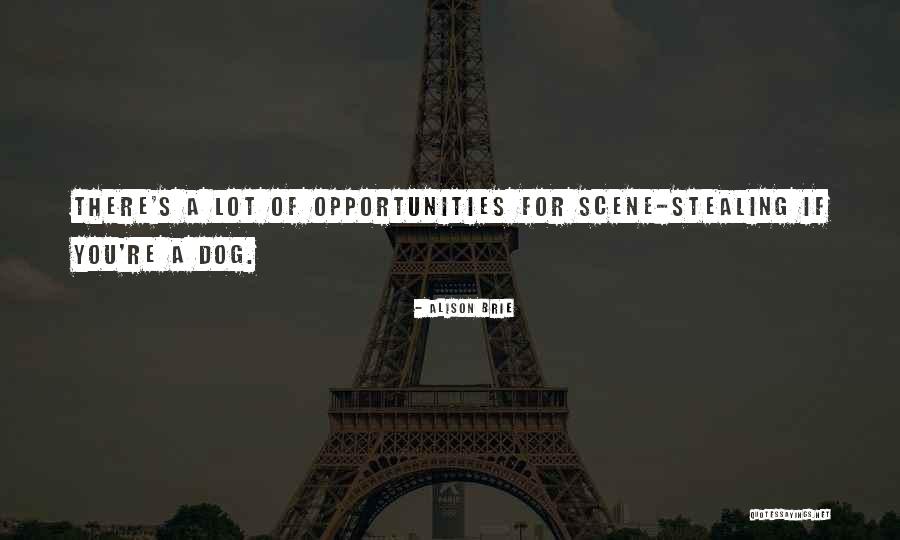 Alison Brie Quotes 344912 Alison Brie Quotes 344912
