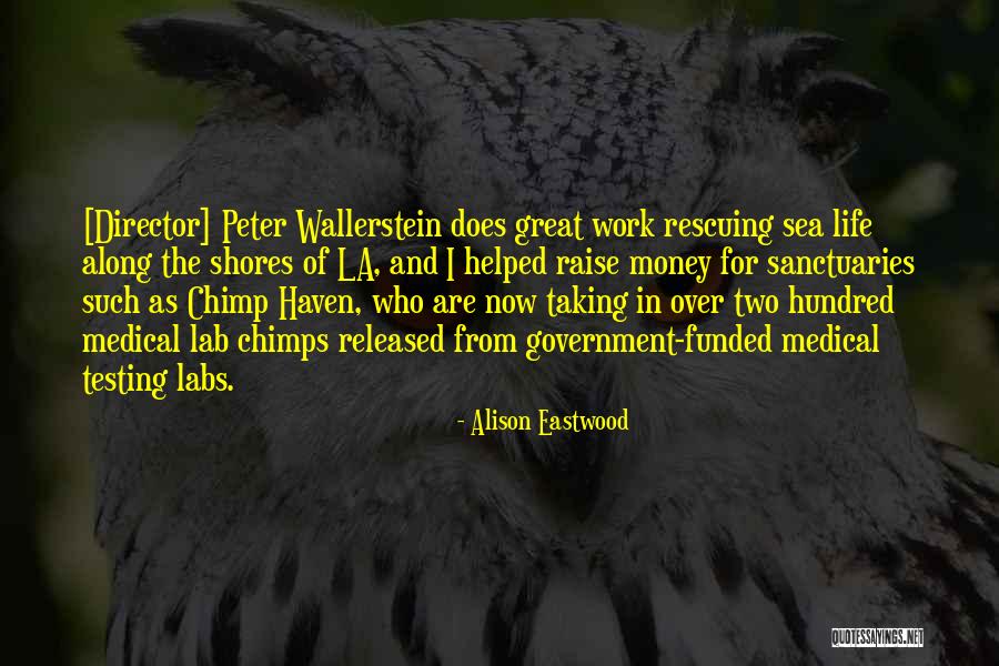 Alison Eastwood Quotes 101457 Alison Eastwood Quotes 101457