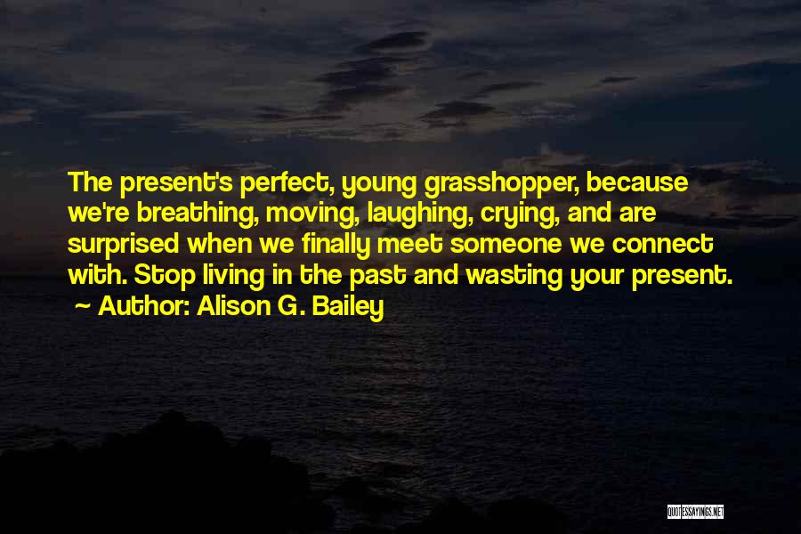 Alison G. Bailey Quotes 525096